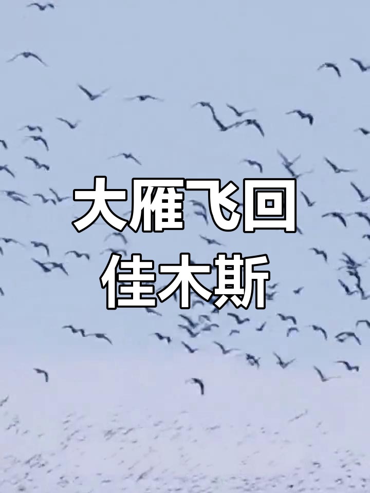七律三首