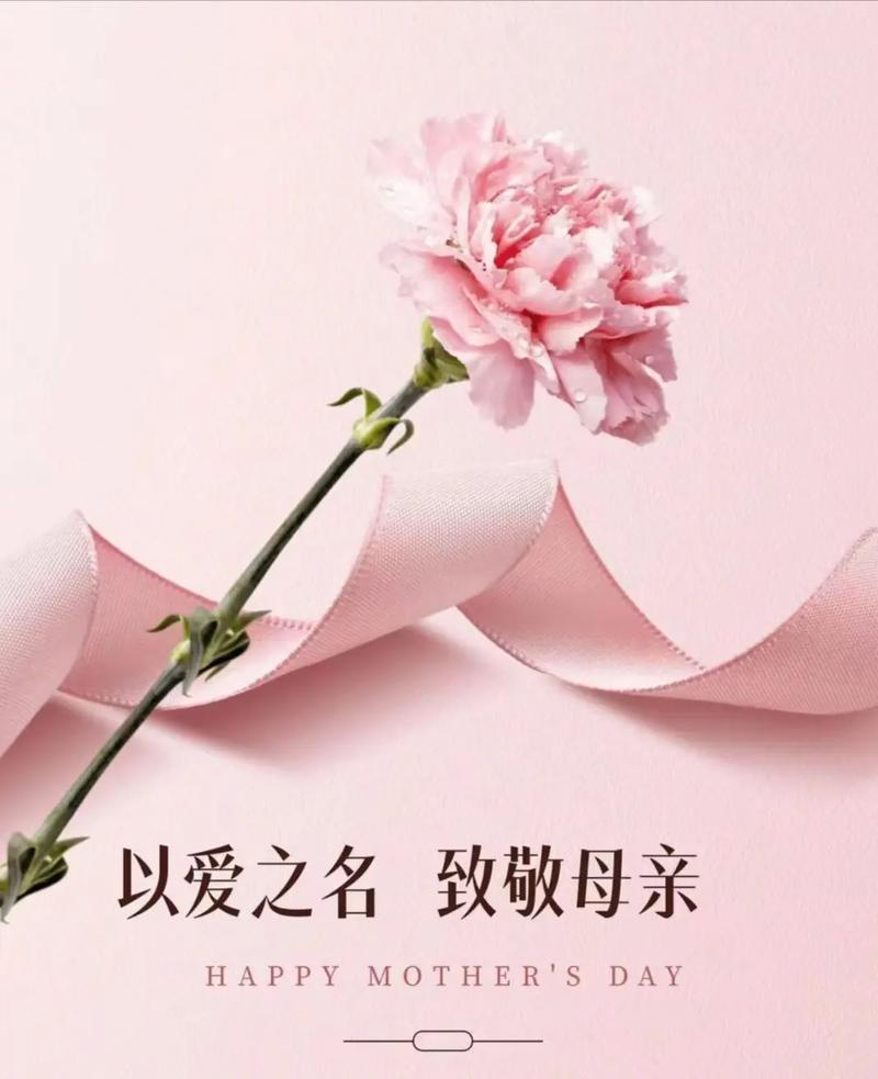 你的样子