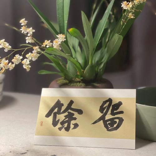 把你留在我的文字里