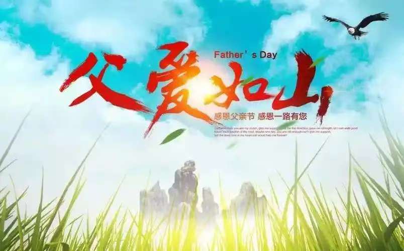 那山，那树，那深情