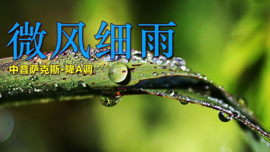 微风细雨