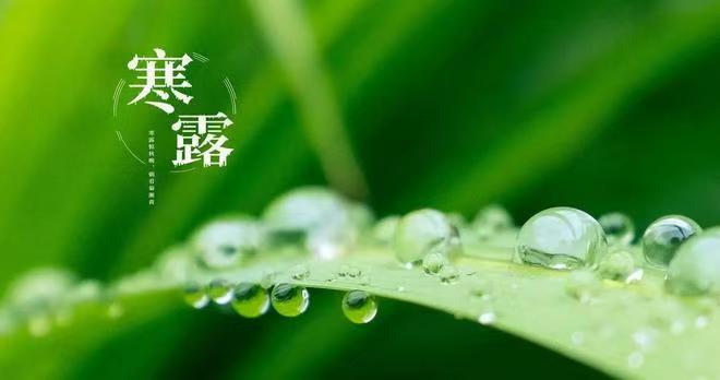 寒露 . 感怀