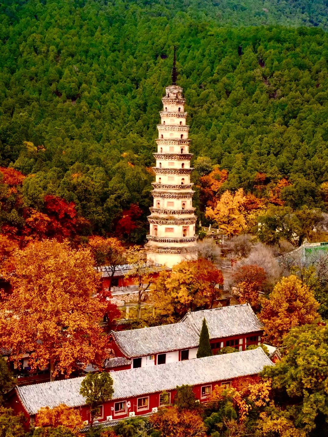 禅修灵岩寺