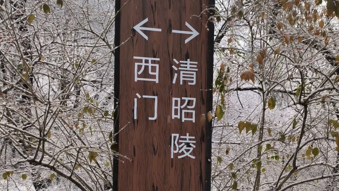 昭陵初雪