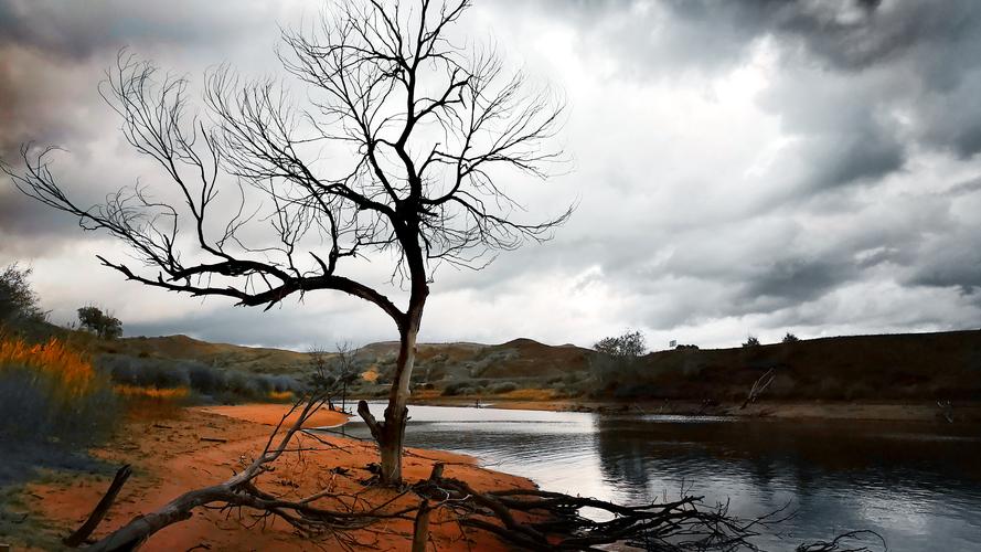 回首已是萧瑟处