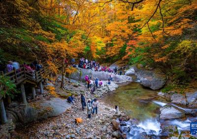 枣城凤翎公园初冬风韵