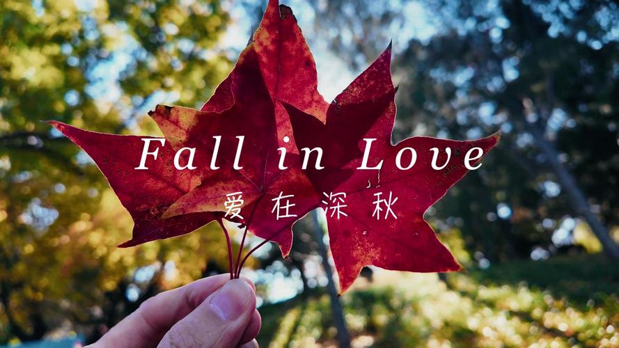 爱在深秋