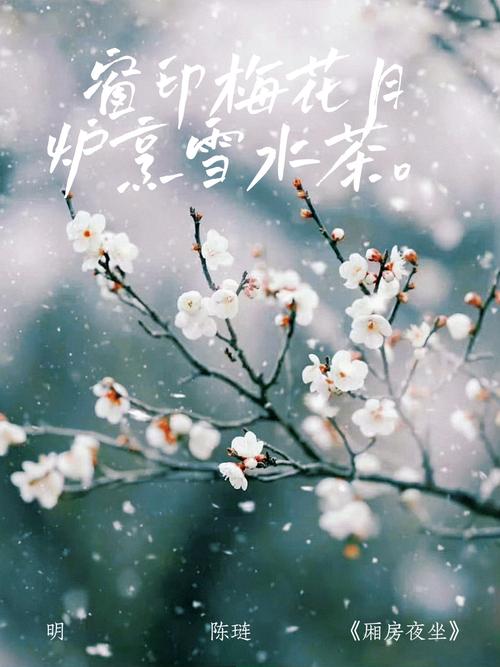 亦是大寒，落雪访友