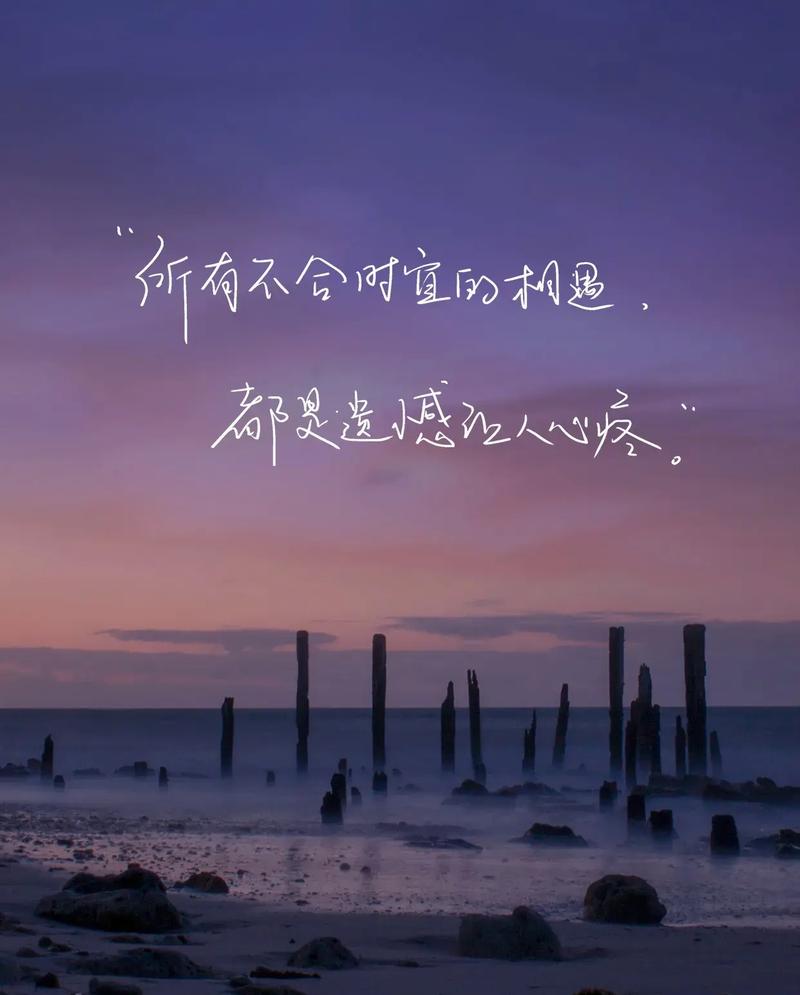 岁月归处是相逢