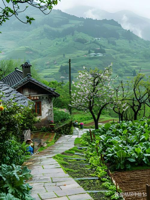 一衰烟雨向田园