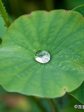 人间行旅：达观与放下