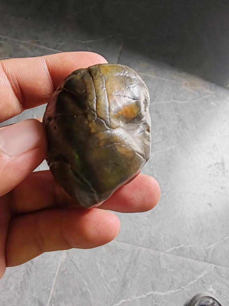 清早，我捡到一枚石头