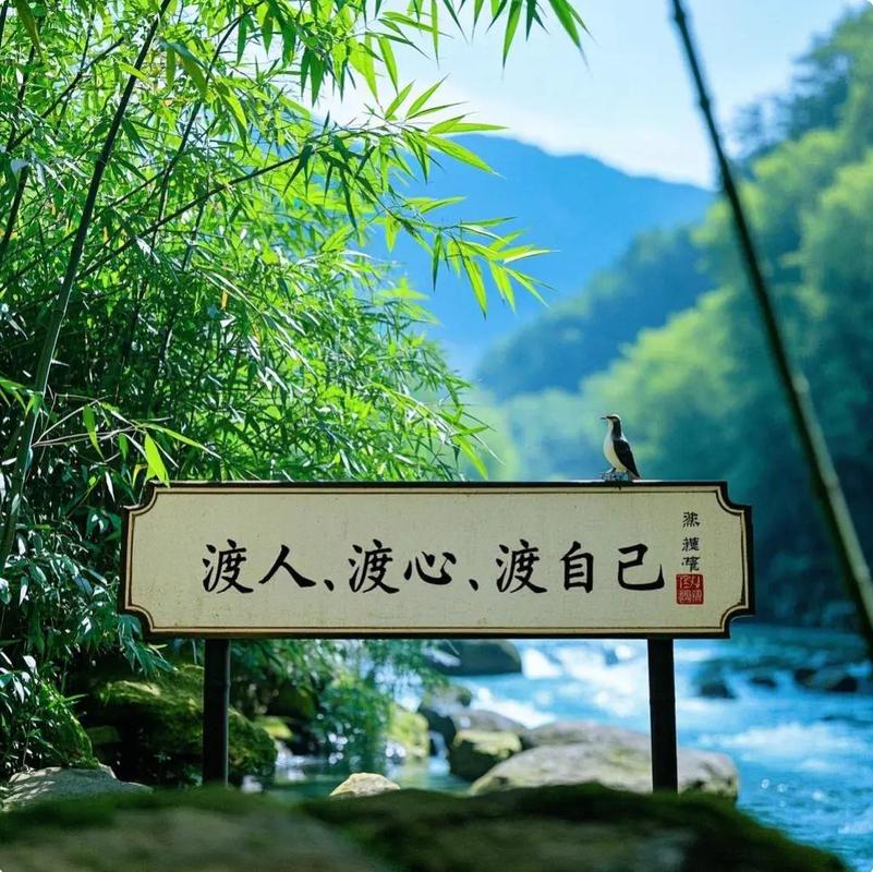 人生如渡