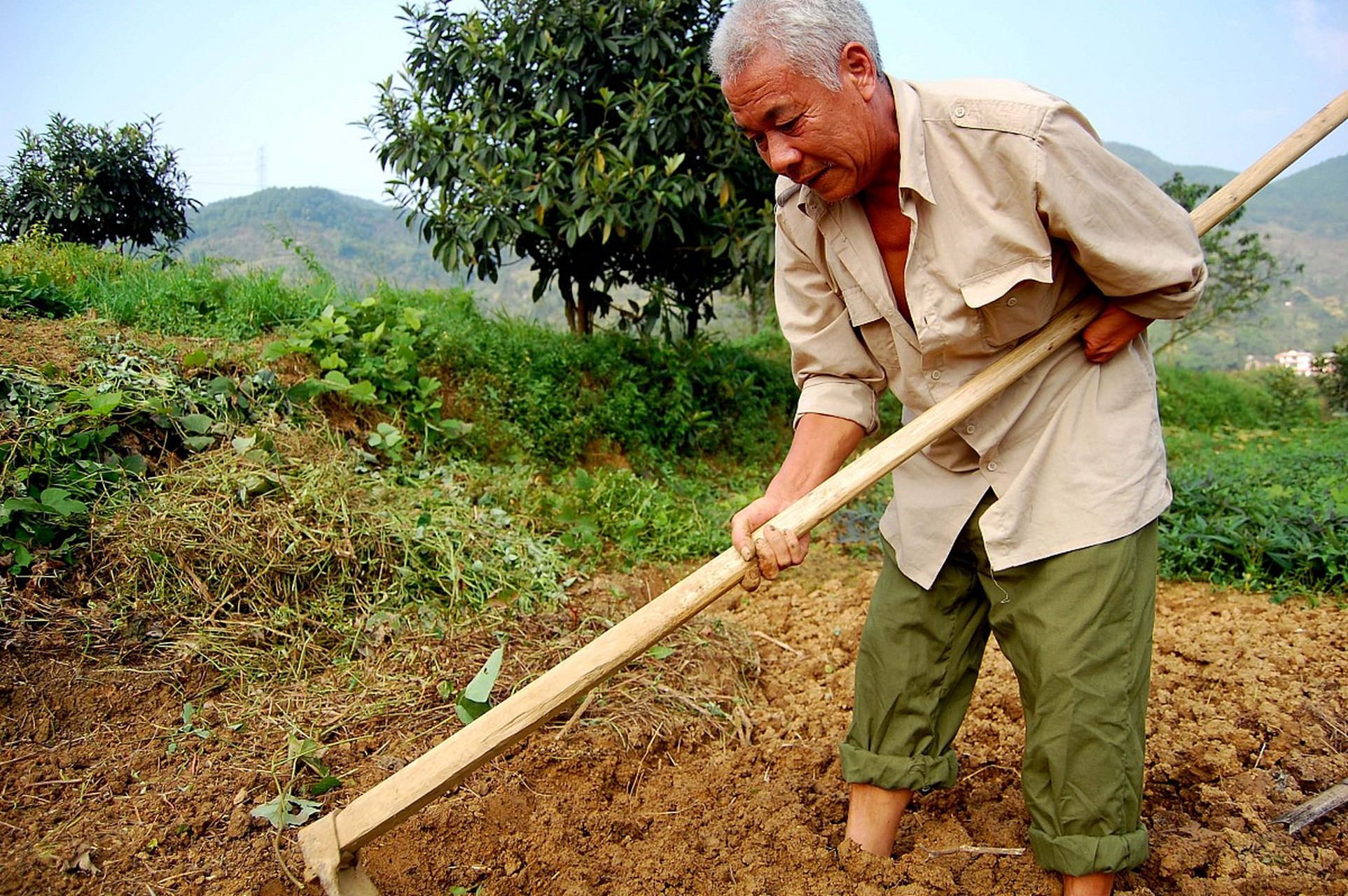 乡野凡人二大爷