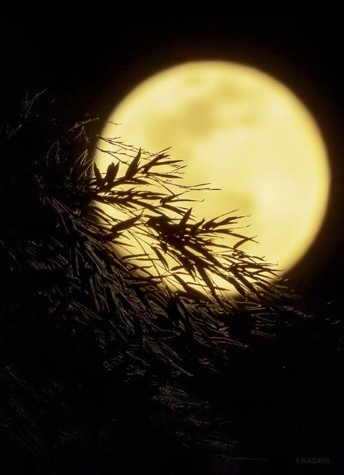 中秋前夜