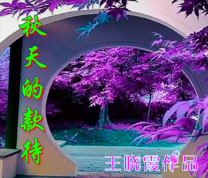 美图文字秀秀20191026073035.png