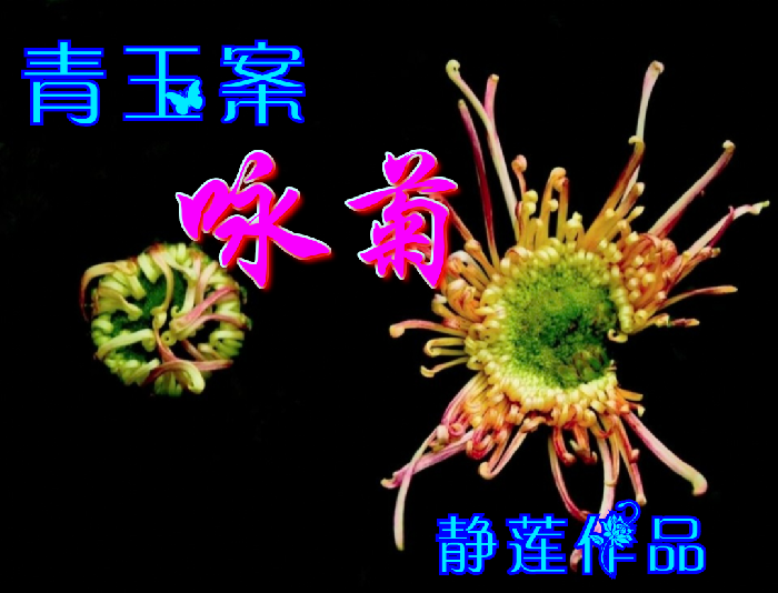 美图文字秀秀20191026111422.png