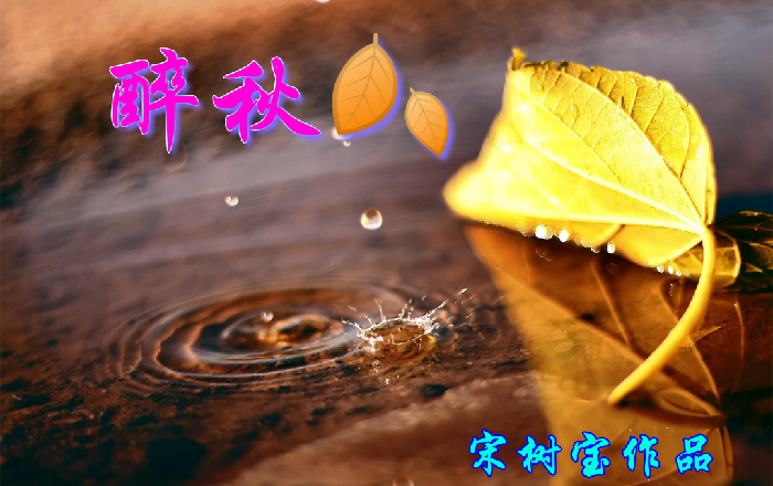 美图文字秀秀20191123075631.png