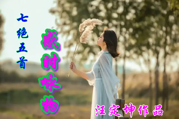 美图文字秀秀20191130094025.png