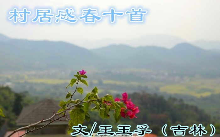 0034034520157739_b.jpg