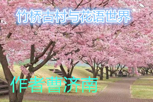 竹桥古村与花语世界.jpg