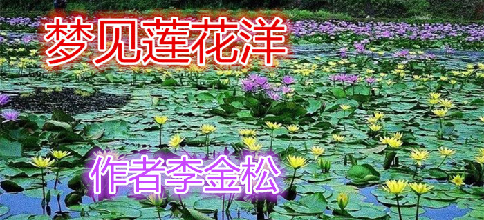 梦见莲花洋.jpg