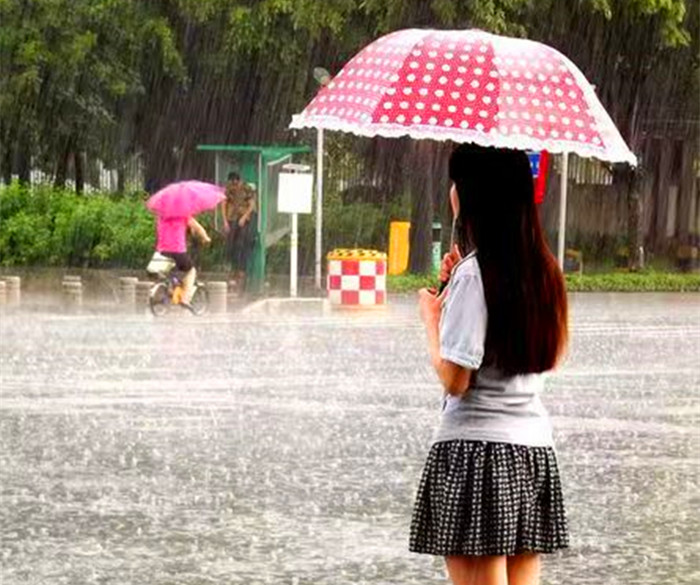 细雨中遐想