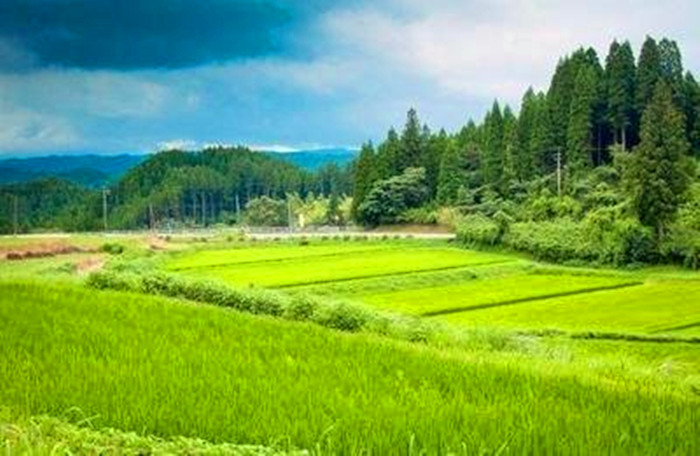 坚守我的一亩三分地