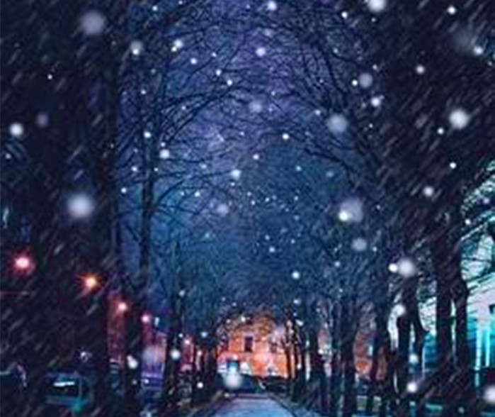 腊月的夜（外一首）