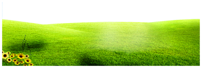 土地、小草和空气