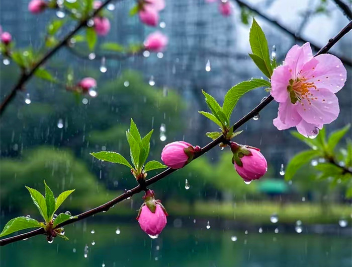 《只是多了一个雨季》吴锭浠诗歌
