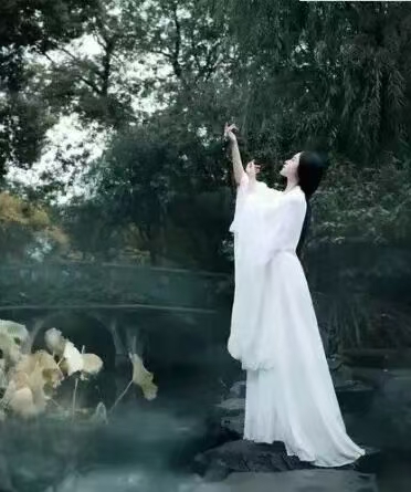 折柳成殇