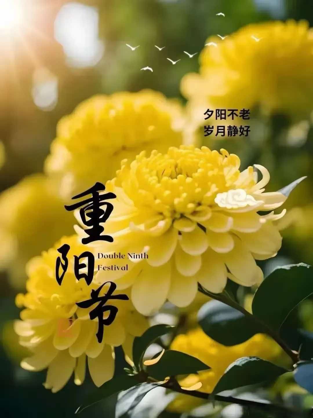 重阳忆兄长
